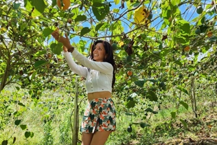 Experiencia auténtica: un turista recolecta una granadilla fresca. Descubre la naturaleza y sus delicias. ¡Únete a la aventura!